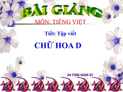 bài Tập viết - Chữ hoa D