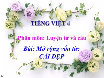 bài Luyện từ và câu - Mở rộng vốn từ - Cái đẹp