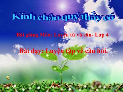bài Luyện từ và câu - Luyện tập về câu hỏi