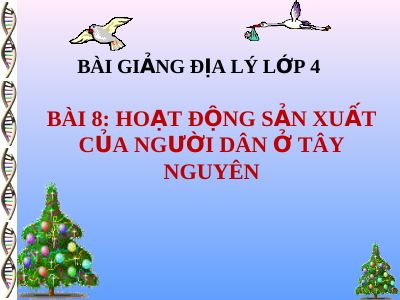Bài giảng Địa lý 4 bài 8 Hoạt động sản xuất của người dân ở Tây Nguyên