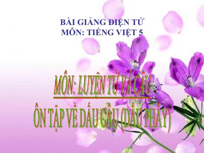 bài Luyện từ và câu - Ôn tập về dấu câu (Dấu phẩy)