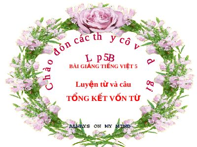 bài Luyện từ và câu - Tổng kết vốn từ