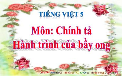 bài Chính tả - Nghe, viết Hành trình của bầy ong