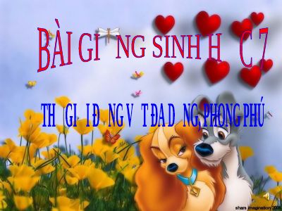 Thế giới động vật đa dạng, phong phú