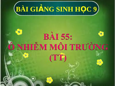 Ôi nhiễm môi trường ( tiếp theo)