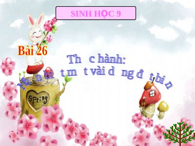 Thực hành nhận biết một vài dạng đột biến