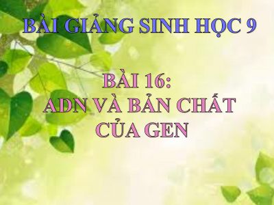 ADN và bản chất của gen