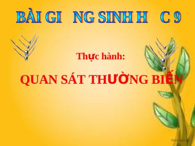 Thực hành quan sát thường biến