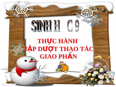 Thực hành tập hợp thao tác giao phấn