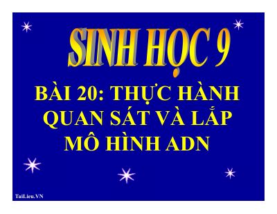 Thực hành quan sát và lắp mô hình ADN