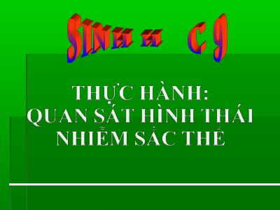 Thực hành Quan sát hình thái nhiễm sắc thể