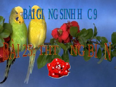 Thường biến