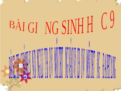 Thực hành vận dụng luật bảo vệ môi trường vào việc bảo vệ môi trường ở địa phương