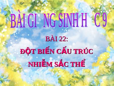 Đột biến cấu trúc nhiễm sắc thể