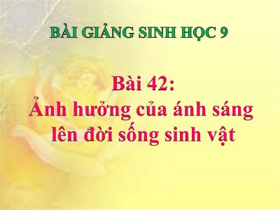 Ảnh hưởng của ánh sáng lên đời sống sinh vật