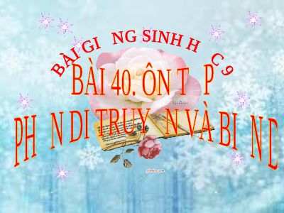 Ôn tập phần di truyền và biến dị