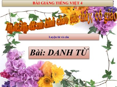 bài Luyện từ và câu -Danh từ
