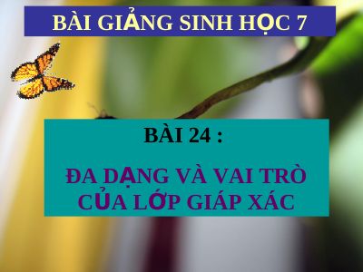 Đa dạng và vai trò của lớp giáp xác