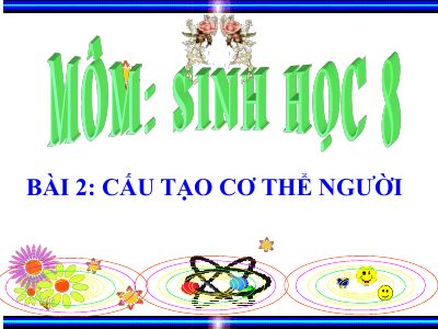 Cấu tạo cơ thể người