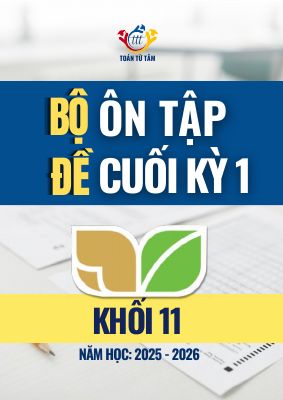 Bộ đề ôn tập cuối học kỳ 1 môn Toán 11 KNTTVCS năm học 2025 - 2026