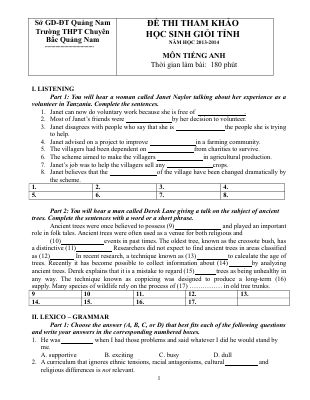 ĐỀ THI THAM KHẢO HỌC SINH GIỎI TỈNH môn Tiếng Anh 11 năm học 2013-2014 THPT Chuyên Bắc Bắc Quảng Nam Mã A940842
