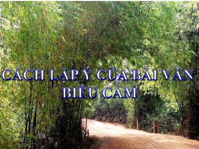 Cách lập ý của bài văn biểu cảm