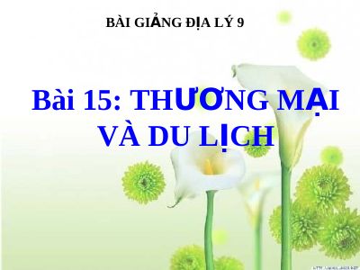 Bài giảng Địa lý 9 bài 15 Thương mại và du lịch