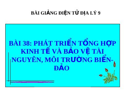 Bài giảng Địa lý 9 bài 38 Phát triển tổng hợp kinh tế và bảo vệ môi trường biển đảo