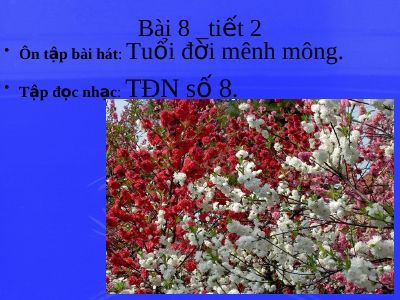 Bài giảng Âm nhạc 8 bài 8 Tập đọc nhạc TĐN số 8
