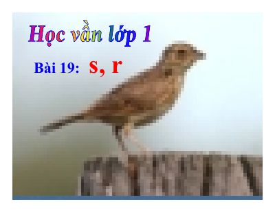 Tiếng Việt 1 bài 19 Âm S, R