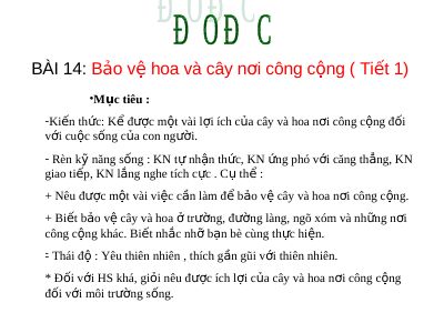 Bài giảng Đạo đức 1 bài 14 Bảo vệ hoa và cây nơi công cộng
