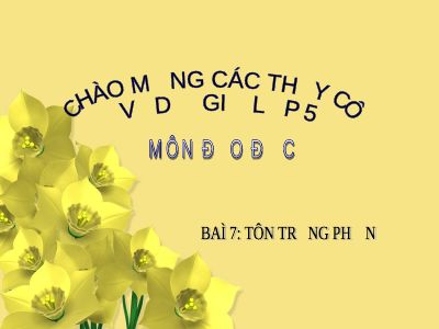 Bài giảng Đạo đức 5 bài 7 Tôn trọng phụ nữ