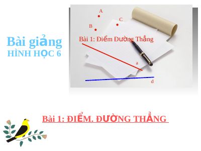 Điểm Đường thẳng