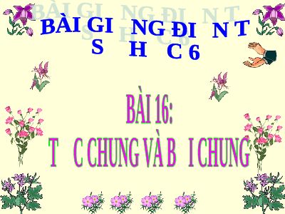 Ước chung và bội chung