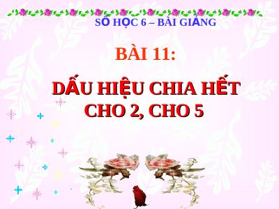 Dấu hiệu chia hết cho 2, cho 5