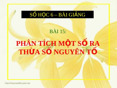 Phân tích một số ra thừa số nguyên tố