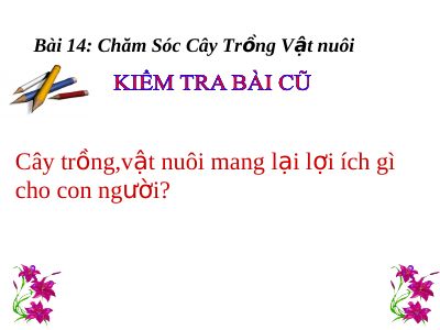 Bài giảng Đạo đức 3 bài 14 Chăm sóc cây trồng vật nuôi