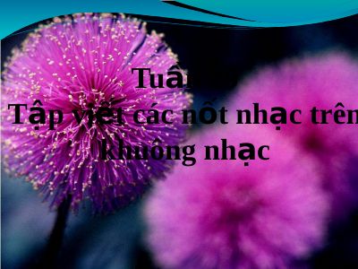 Bài giảng Âm nhạc 3 bài 29 Tập viết các nốt nhạc trên khuông nhạc