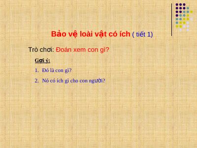 Bài giảng Đạo đức 2 bài 14 Bảo vệ loài vật có ích