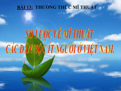 Thường thức mĩ thuật - Sơ lược về mĩ thuật các dân tộc ít người VN