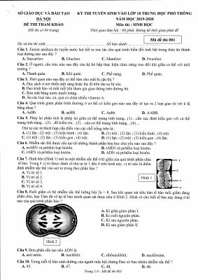 Đề thi thử vào lớp 10 môn sinh năm 2019
