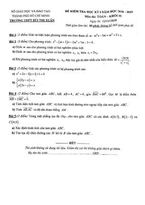 Đề thi học kì 1 môn Toán lớp 10 THPT Bùi Thị Xuân