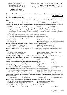 Đề thi giữa học kỳ 2 môn Sinh học lớp 10 Trường THPT Tân Túc năm 2020-2021