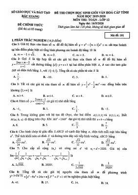 Đề thi chọn học sinh giỏi môn Toán 12 cấp tỉnh năm học 2019  2020 sở Bắc Giang