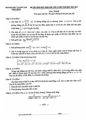 Đề thi học sinh giỏi môn Toán 12 THPT năm 2018 2019 sở Thái Bình