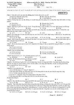 Đề thi thử giữa kì 2 môn Hóa lớp 12 THPT CưMgar