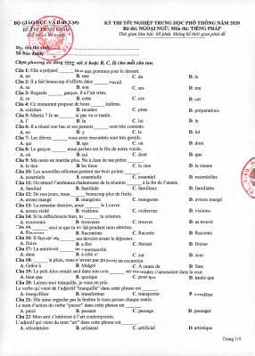 Đề minh họa 2020 lần 2 tiếng Pháp