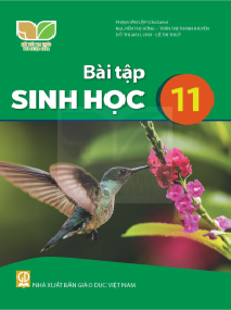 Sách bài tập Sinh học 11
