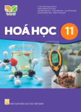 Bài tập trắc nghiệm - Kết nối tri thức