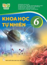 Bài tập trắc nghiệm - Kết nối tri thức